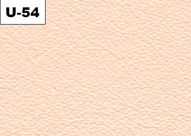 U-54
