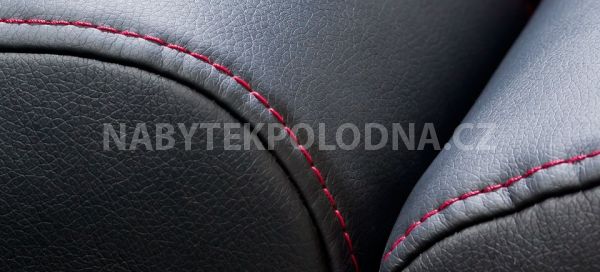 Kožená pohovka IRIS 2